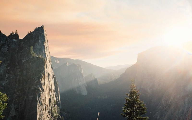 보건소 무료 폐렴구균 예방접종 지정 병원 조회 및 대상자 확인