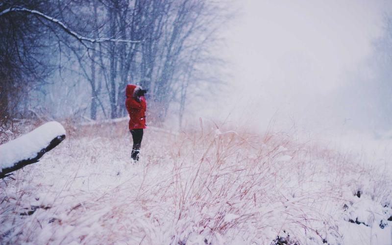 자동차세 연납 신청 기간 할인율 계산 및 위택스 납부 방법